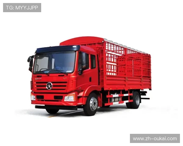 风驰直播在线地址最新更新动态及注意事项大揭秘